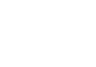 Воздуходувки Robuschi Logo